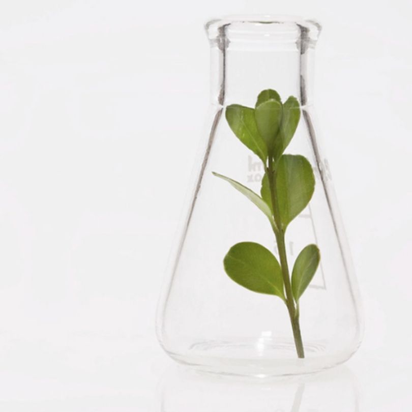 Preserving Our Planet